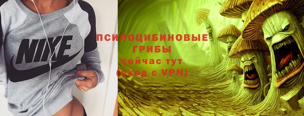 прущая мука Ельня