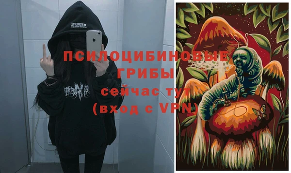 прущая мука Ельня