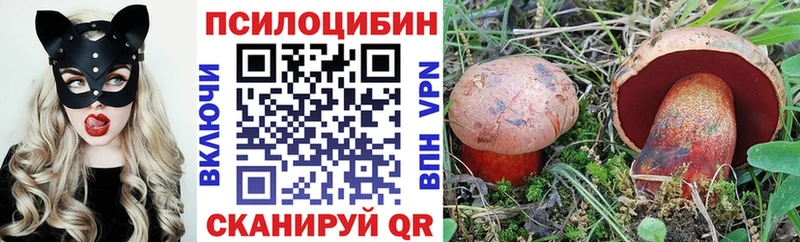 Купить  Армавир  Псилоцибиновые грибы мицелий 