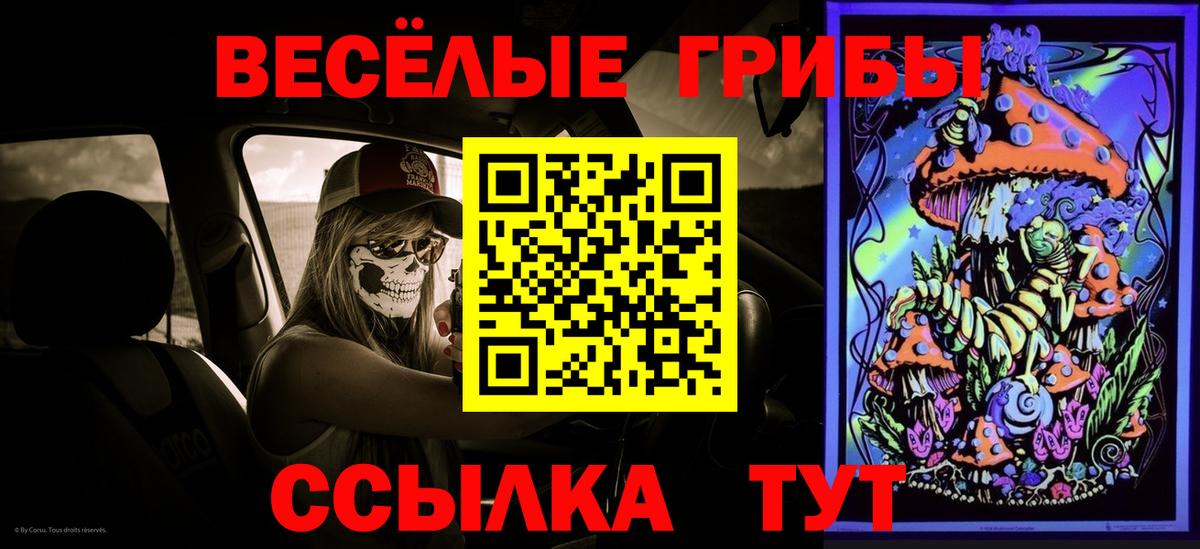 Псилоцибиновые грибы прущие грибы Армавир